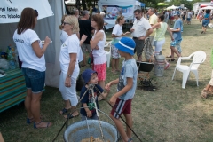 csaladi_nap_2017-111