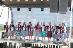 csaladi_nap_2017-112