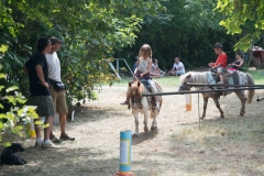 csaladi_nap_2017-121