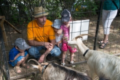 csaladi_nap_2017-122