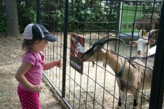 csaladi_nap_2017-124