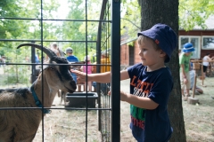 csaladi_nap_2017-125