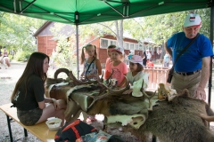 csaladi_nap_2017-127