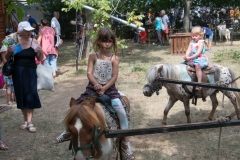 csaladi_nap_2017-128