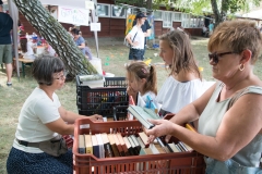 csaladi_nap_2017-132