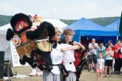 csaladi_nap_2017-161