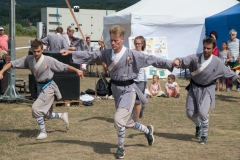 csaladi_nap_2017-162