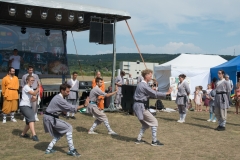 csaladi_nap_2017-163