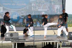 csaladi_nap_2017-186