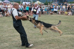 csaladi_nap_2017-195