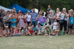 csaladi_nap_2017-196