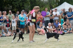 csaladi_nap_2017-197