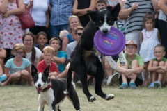 csaladi_nap_2017-198