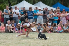 csaladi_nap_2017-199