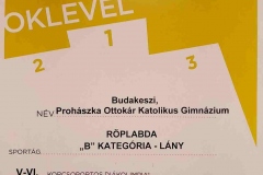 prohaszka-roplabda-01