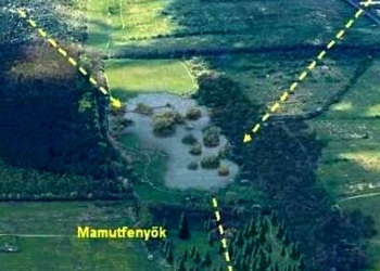 Budakeszi egyik helyi védettségű területe a Nádas-tó