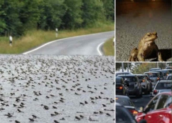 Beszéljünk az alapokról!