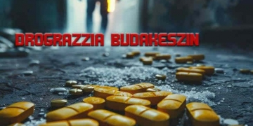 Közbiztonság Budakeszin: intézkedések és megelőzés