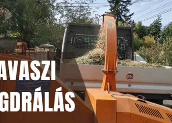 Hamarosan indul a BVV Kft. tavaszi ágaprítási programja