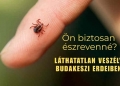 Észrevétlenül támadnak – Itt a kullancsszezon