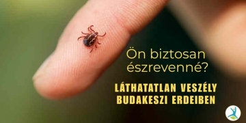 Észrevétlenül támadnak – Itt a kullancsszezon