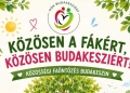 Szép, követendő kezdeményezés