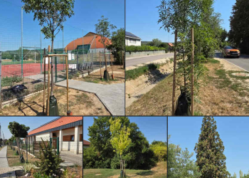 Felelősen takarékoskodunk, de óvjuk környezetünket!