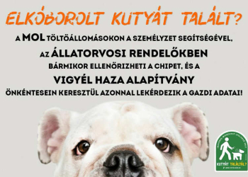 Itt találhatók Budakeszin Chip leolvasók